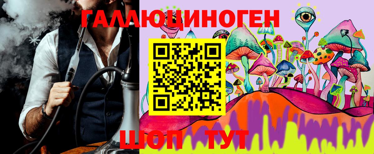 Псилоцибиновые грибы Psilocybine cubensis Йошкар-Ола